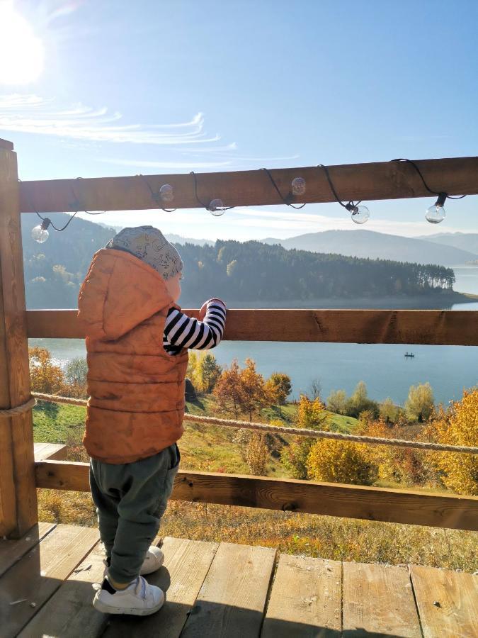 Holiday home Moon Bicaz - Casa Imero Buhalnita